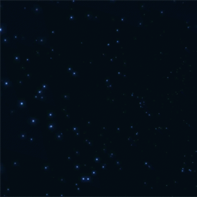 基于canvas的网页背景--旋转的星空