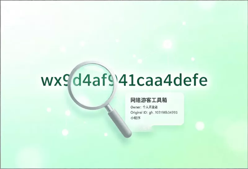 微信AppID解析，把API做成了skill，不会写代码也能用